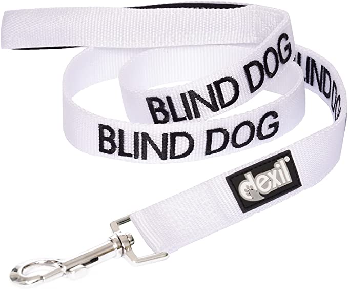 blind dog leash