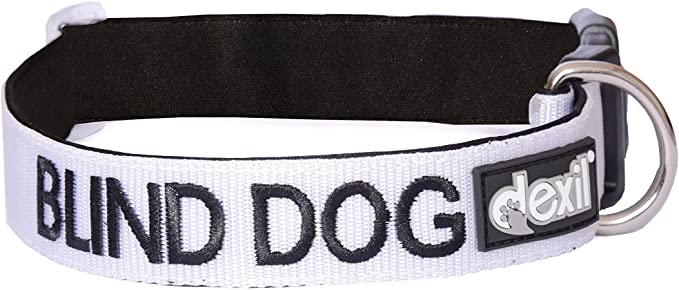 blind dog collar