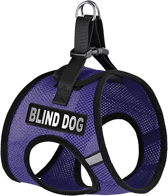 blind dog harness
