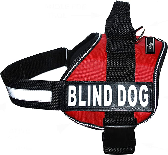 blind harness
