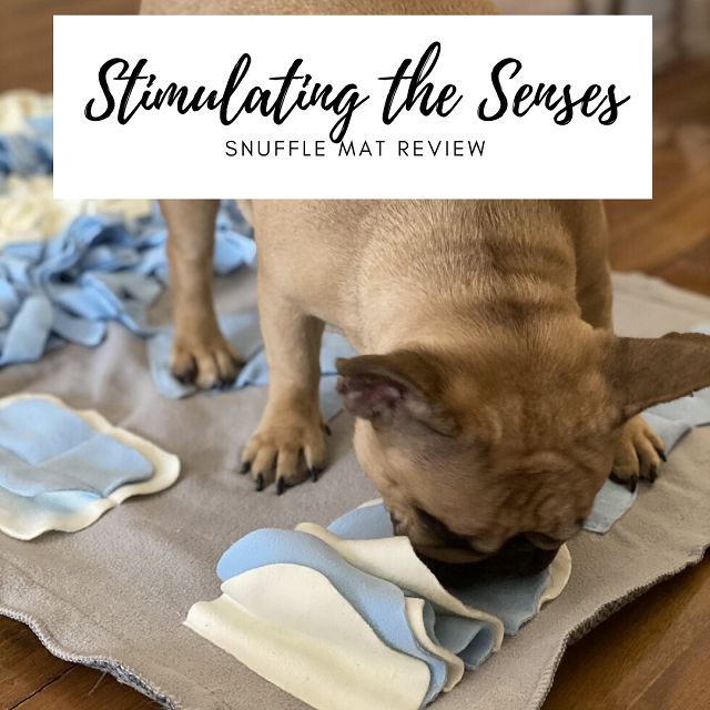 Snuffle Mat Toy Review